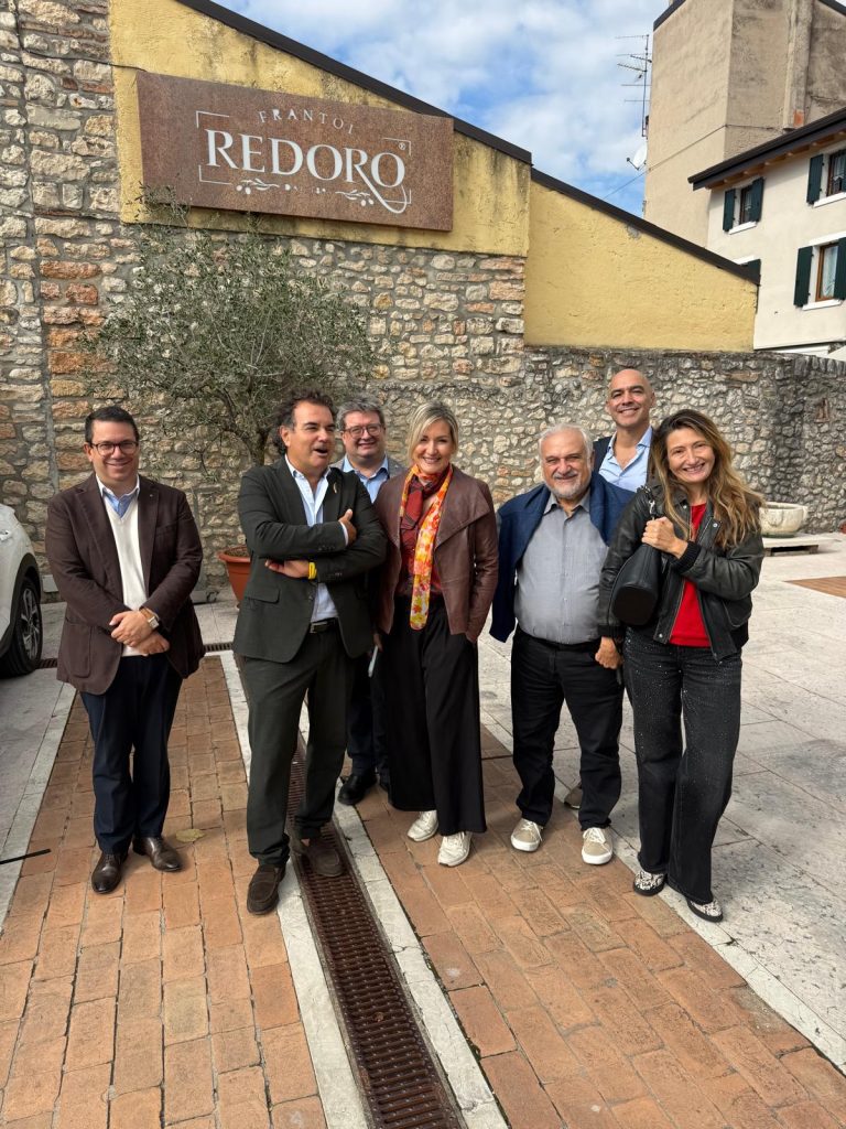 Daniele Salvagno: "Dell'oliva non si butta nulla. Vado alla conquista del mondo ma sogno oliveti anche in Lessinia" 1 WhatsApp Image 2026 10 14 at 09.12.54