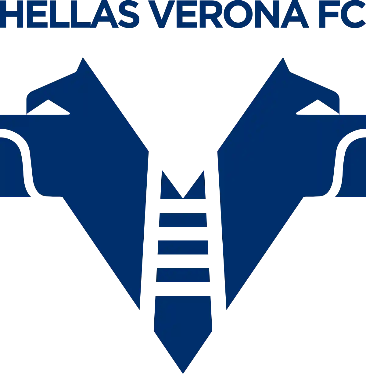 Verona Hellas. Il cammino della speranza