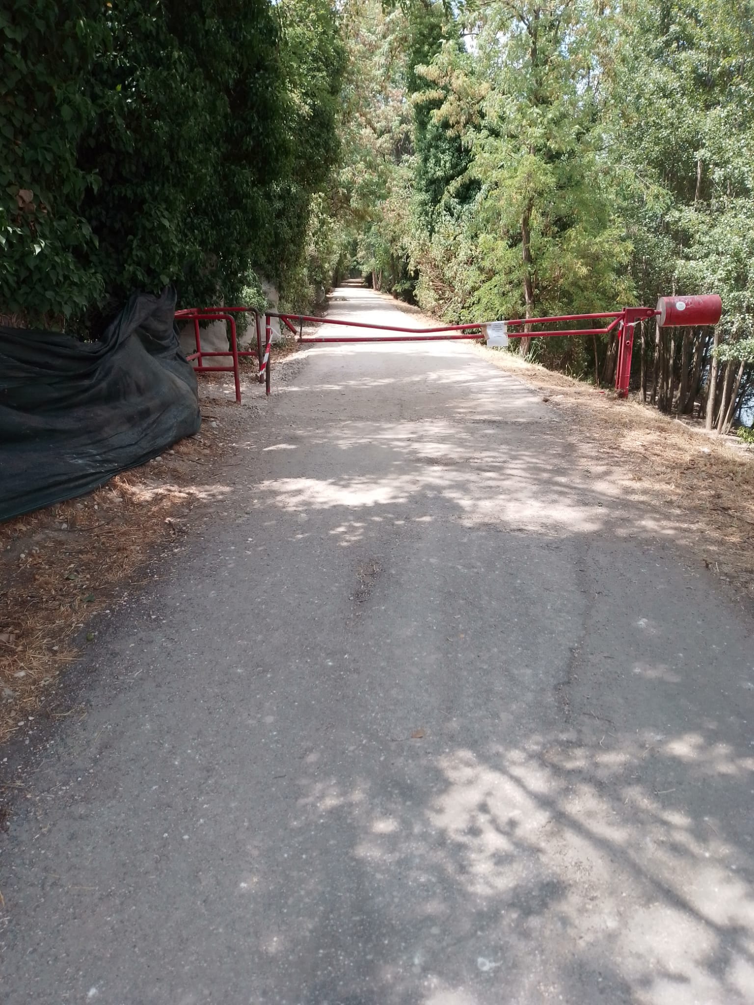 Boschetto di Lungadige Catena, asfaltato l’ultimo pezzo di sentiero “naturale” mentre il parco è in abbandono